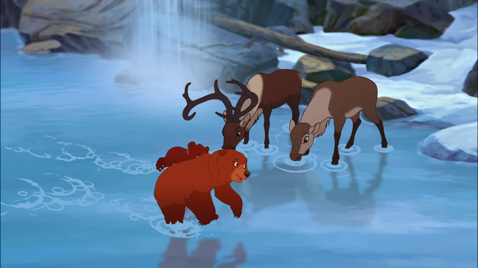 Brother Bear Wallpapers