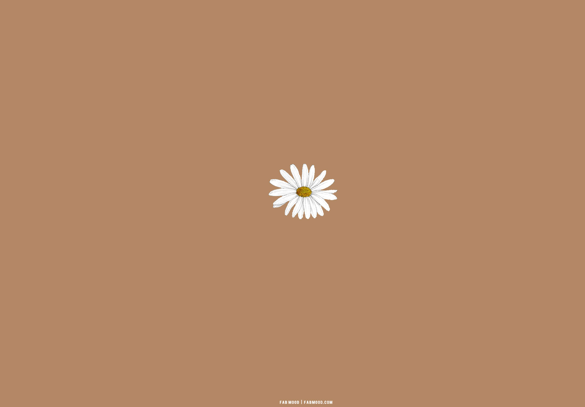 Brown Desktop Wallpapers