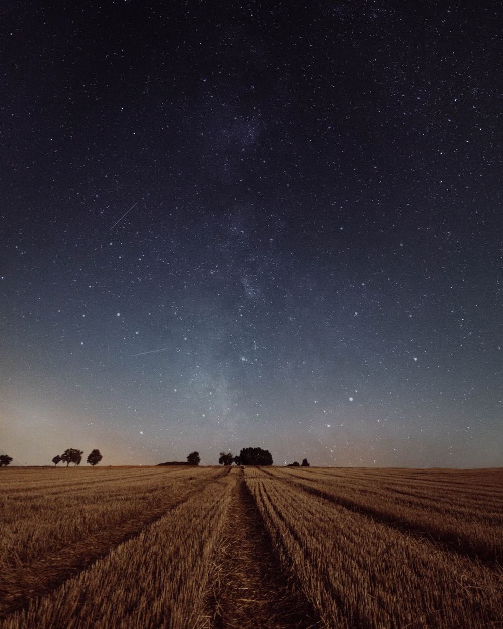 Brown Field Night Wallpapers