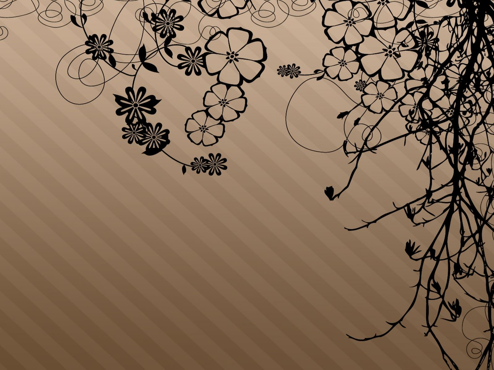 Brown Flower Wallpapers