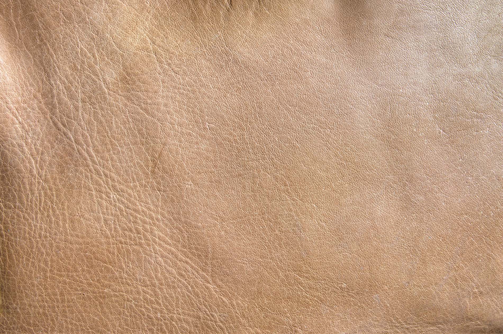 Brown Leather Background