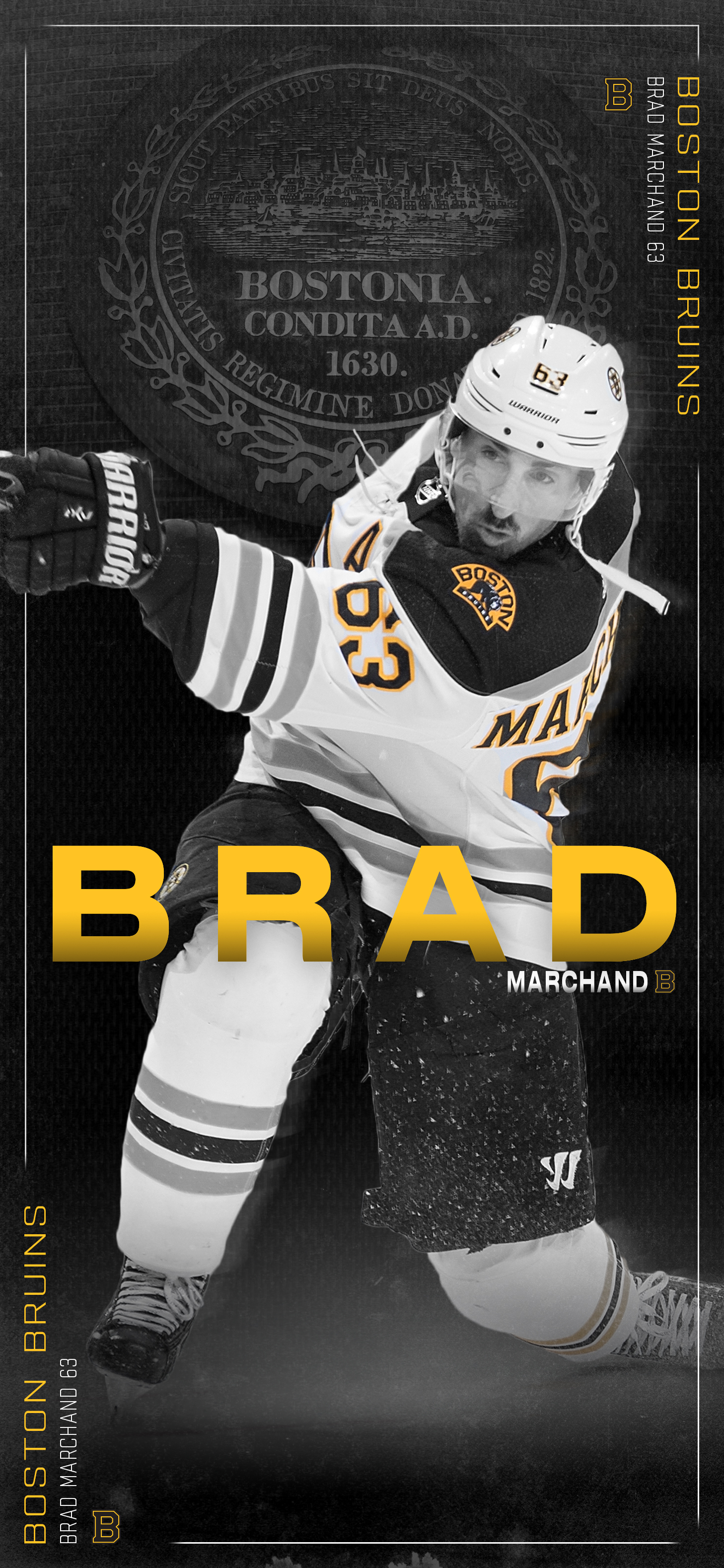 Bruins Wallpapers