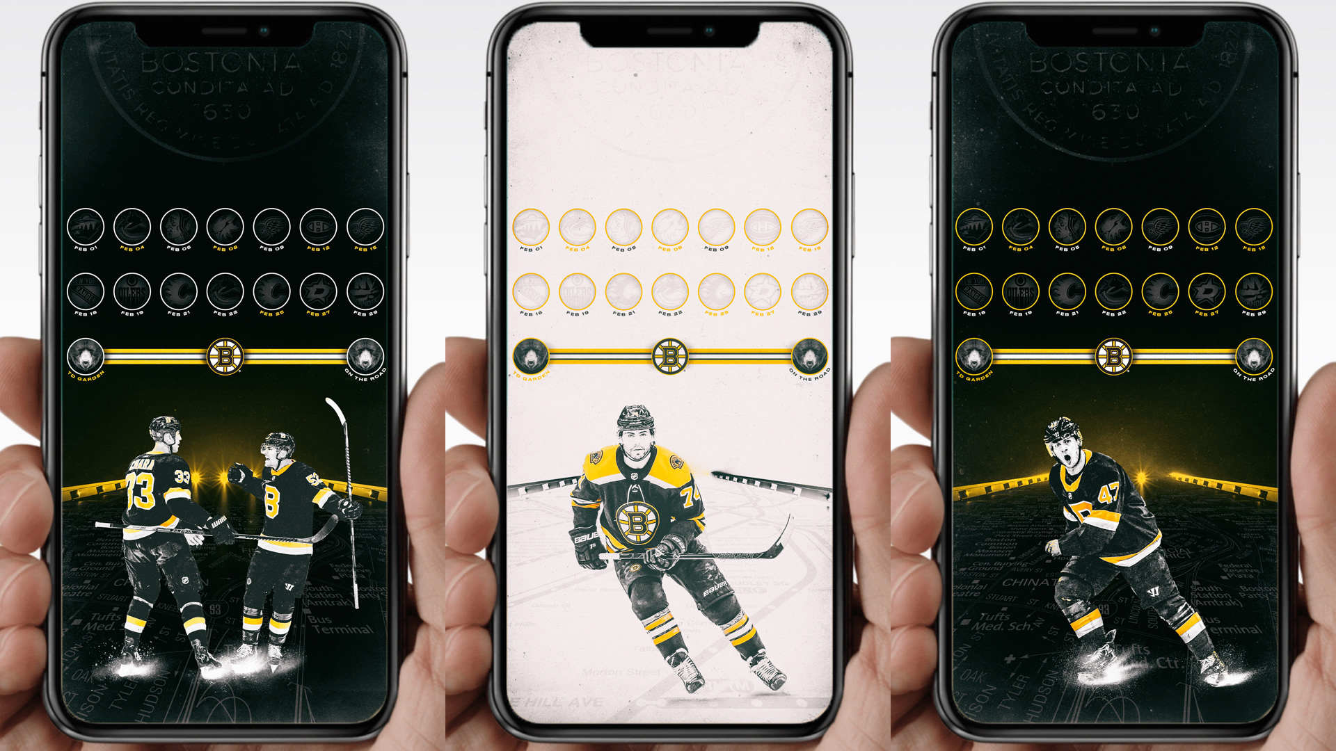 Bruins Wallpapers