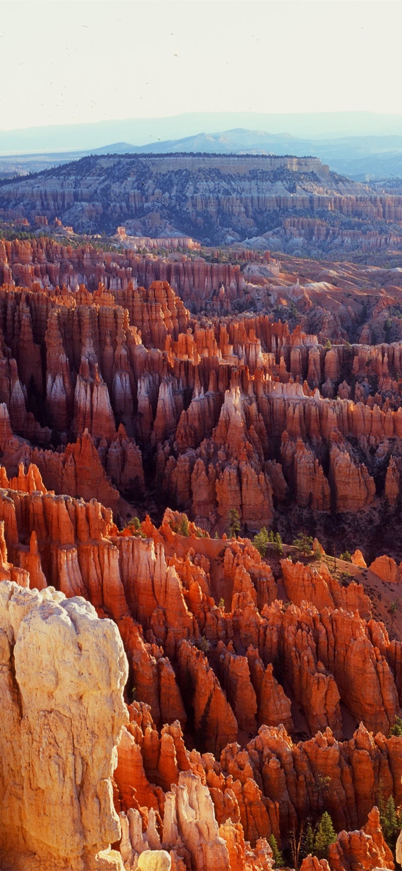 Bryce Canyon National Park Wallpapers