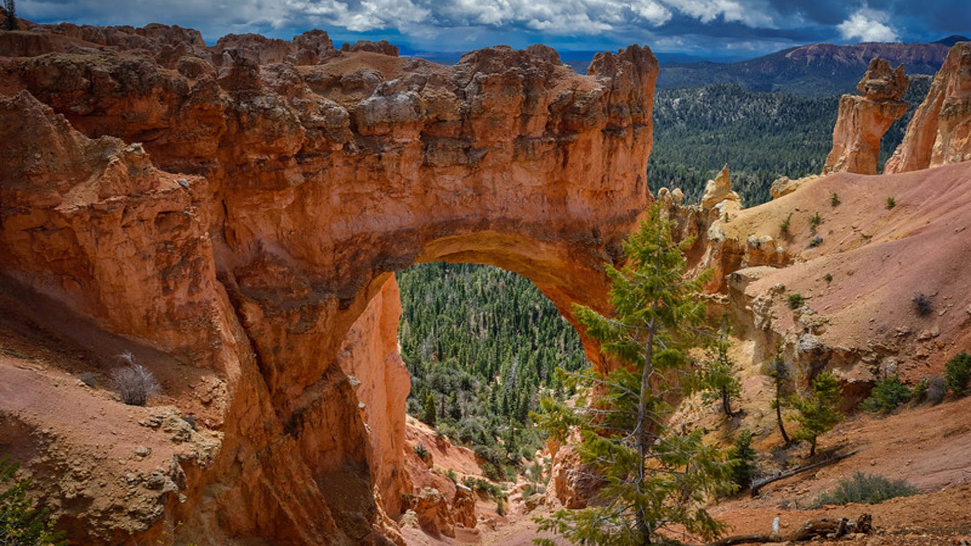 Bryce Canyon National Park Wallpapers