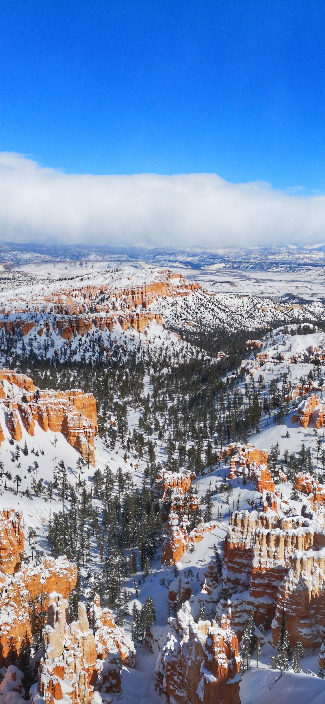 Bryce Canyon National Park Wallpapers