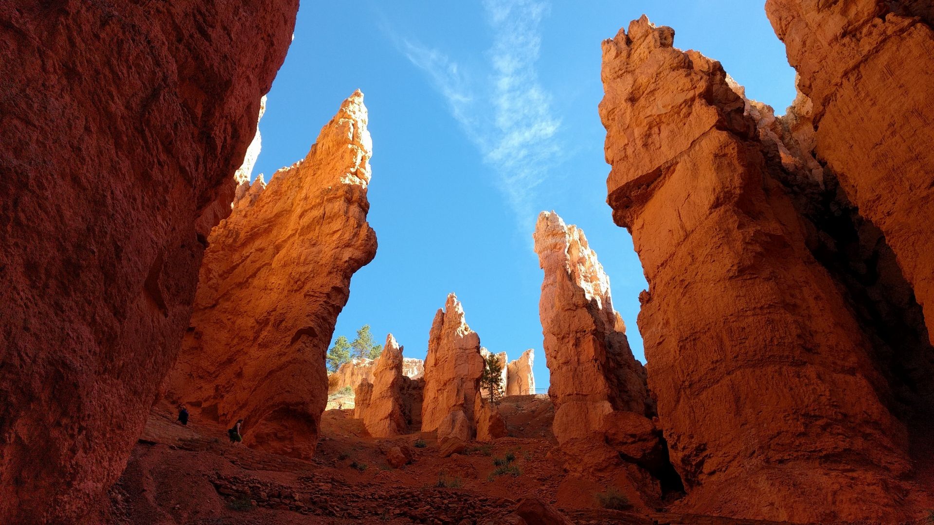 Bryce Canyon National Park Wallpapers