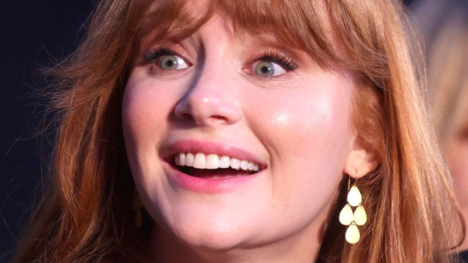 Bryce Dallas Howard Wallpapers