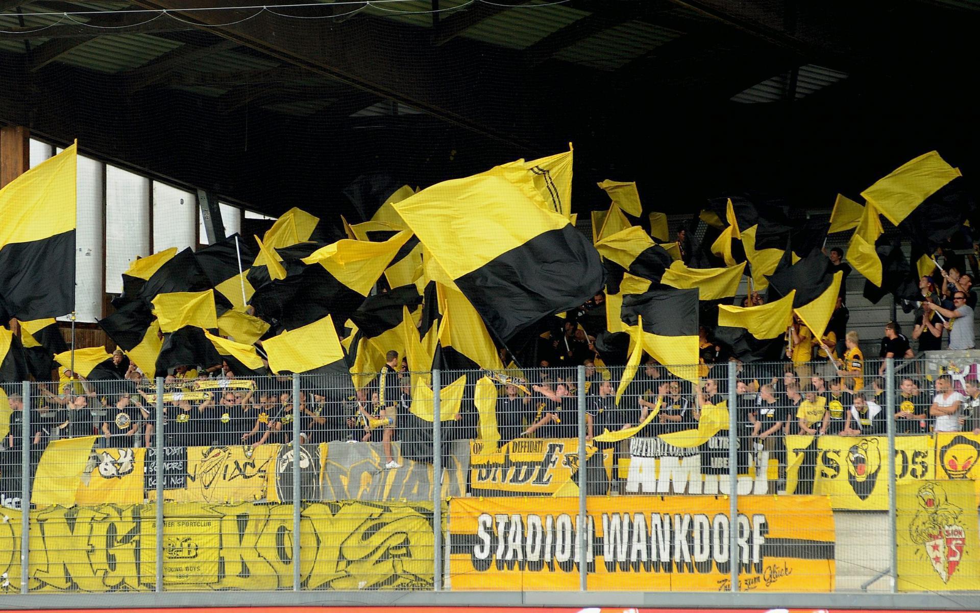 Bsc Young Boys Wallpapers