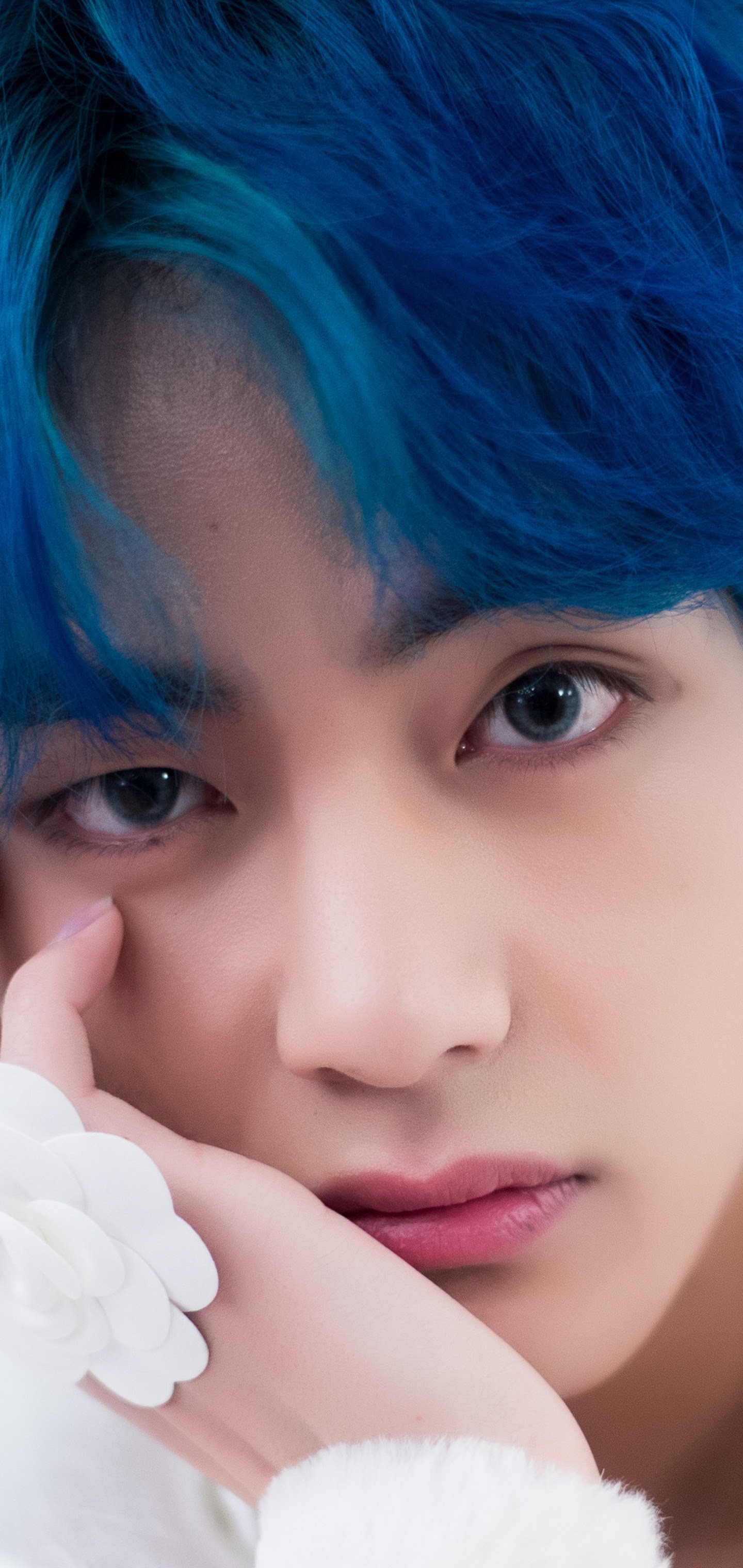 Bts Boy With Luv Wallpapers