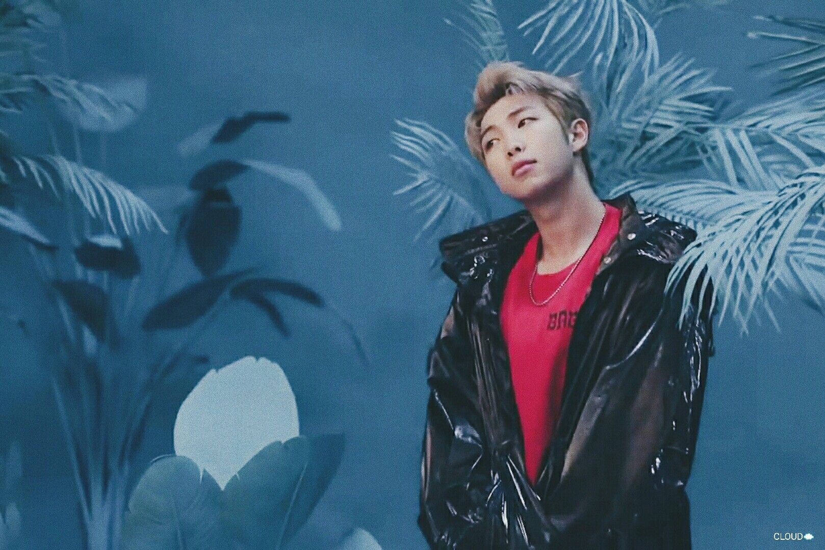 Bts Rm Wallpapers