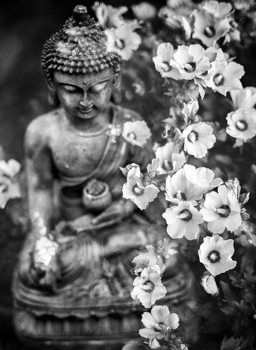 Buddha Images Black And White Wallpapers