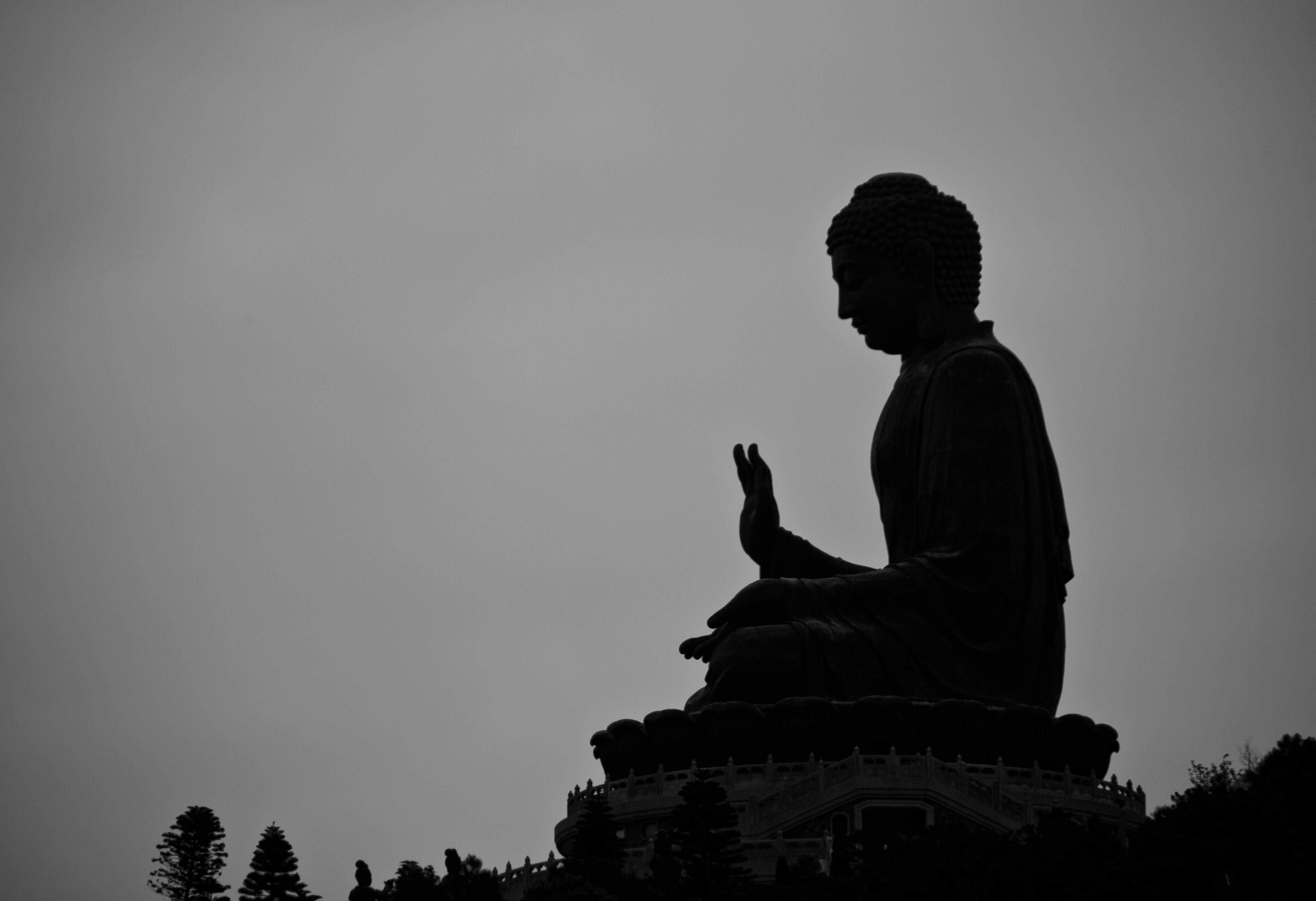 Buddha Images Black And White Wallpapers