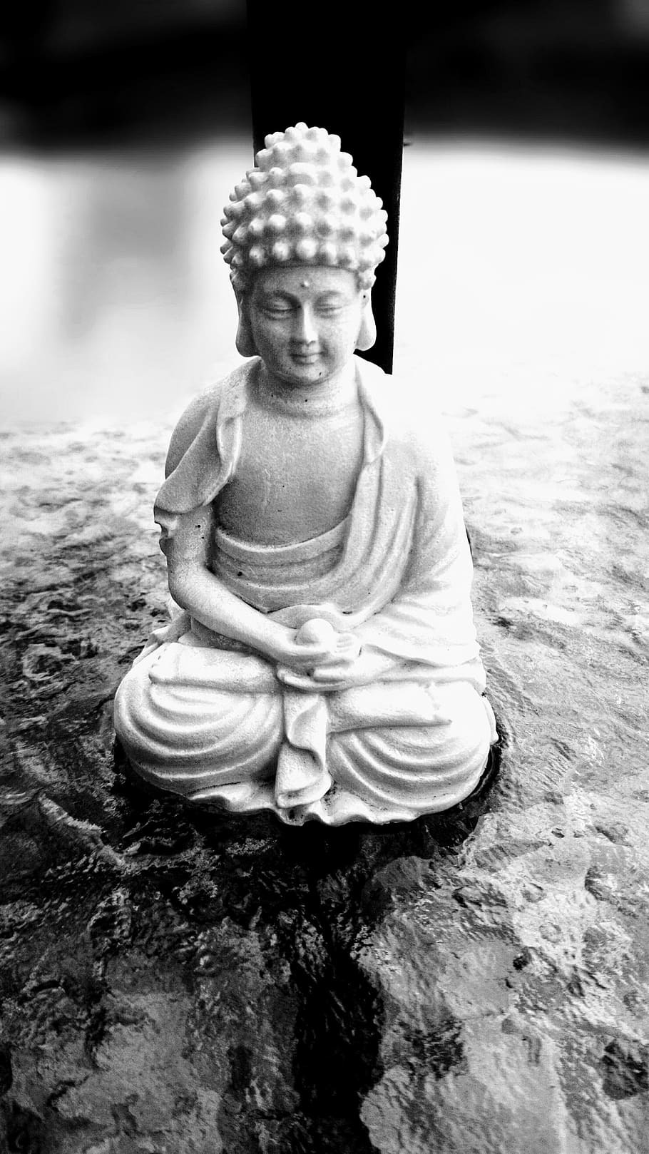 Buddha Images Black And White Wallpapers