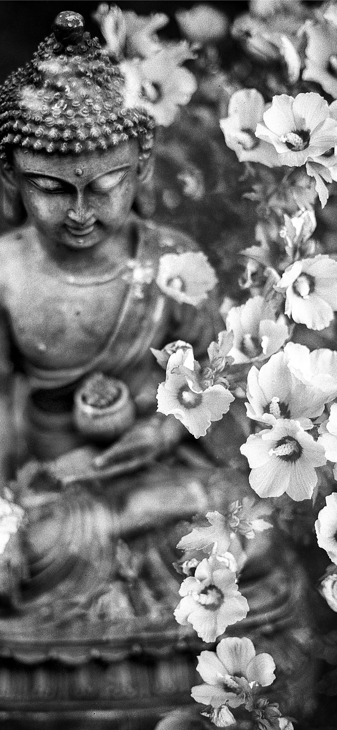 Buddha Images Black And White Wallpapers