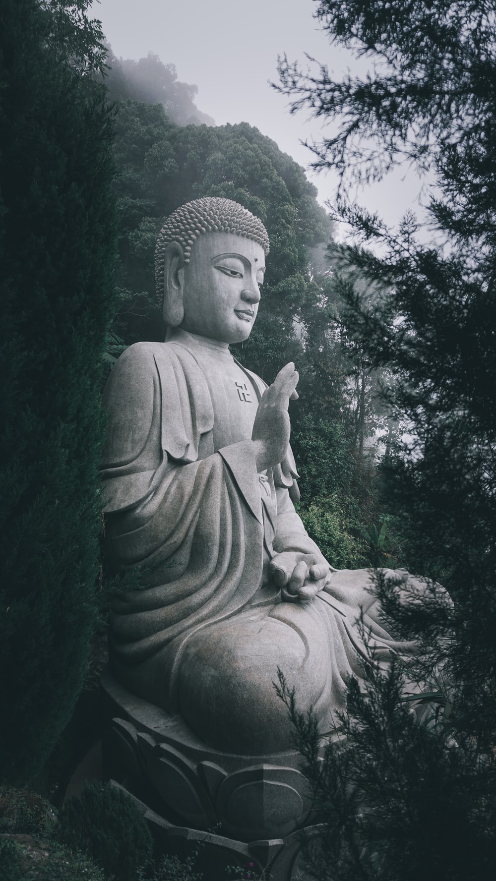 Buddha Phone Wallpapers