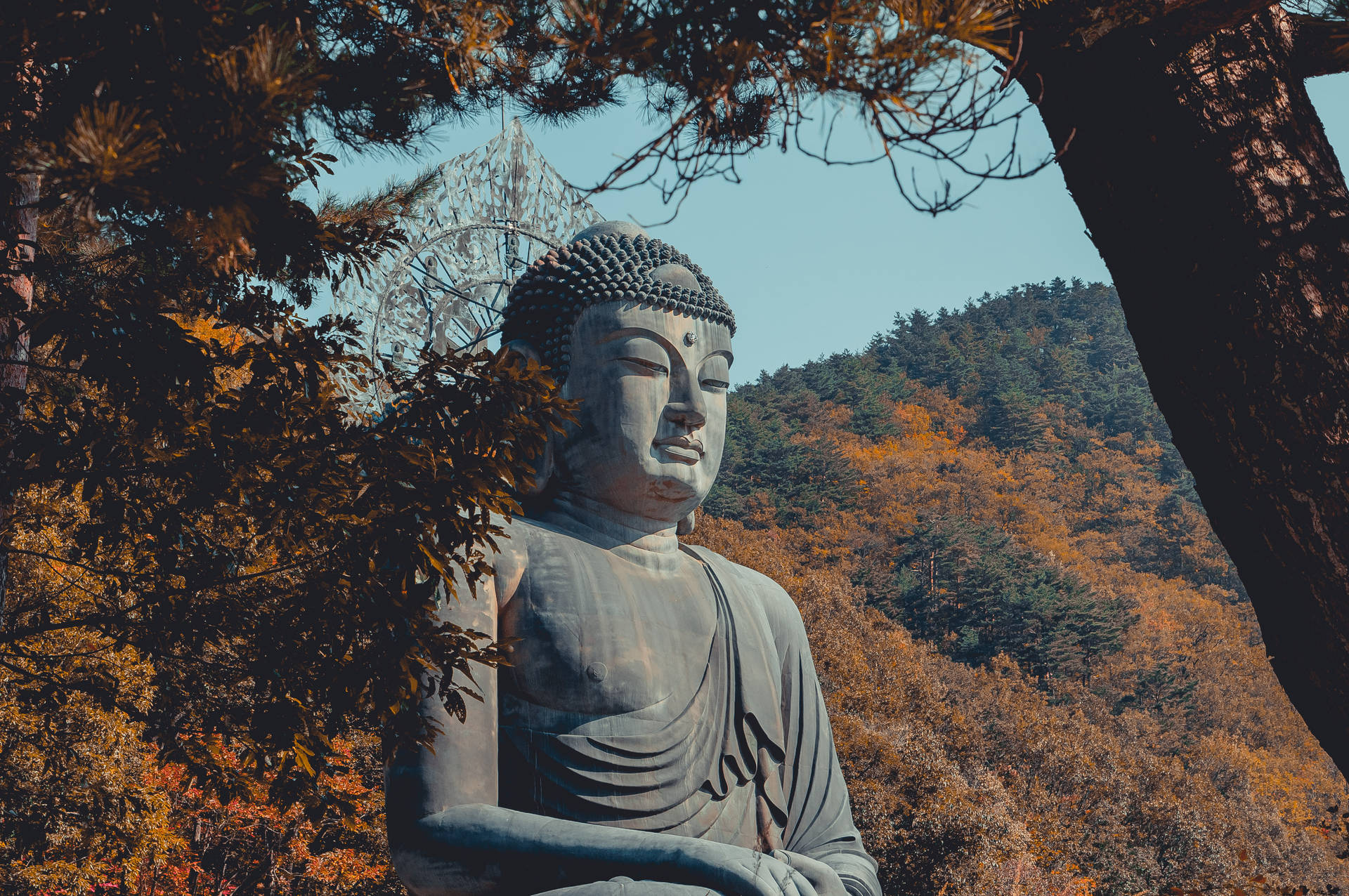 Buddhism Wallpapers