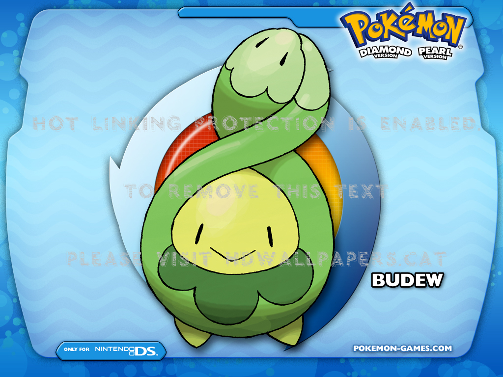 Budew Hd Wallpapers