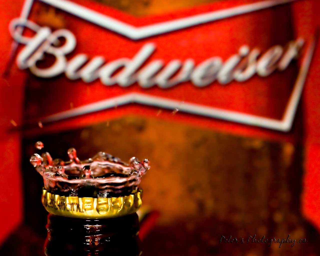 Budweiser Wallpapers