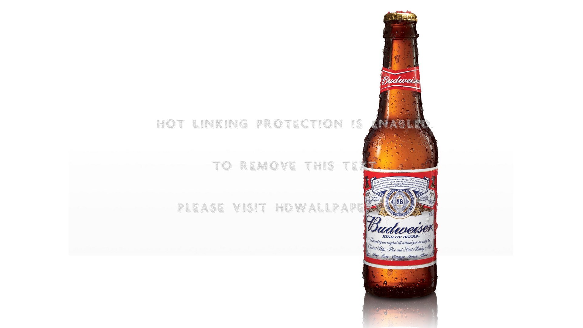 Budweiser Wallpapers