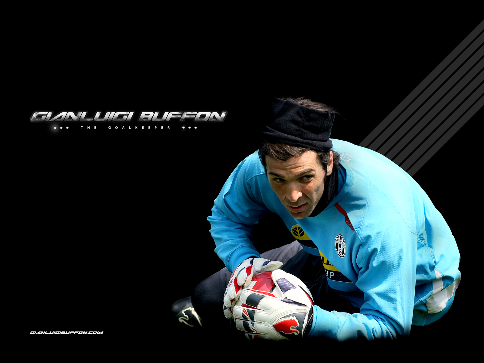 Buffon Wallpapers