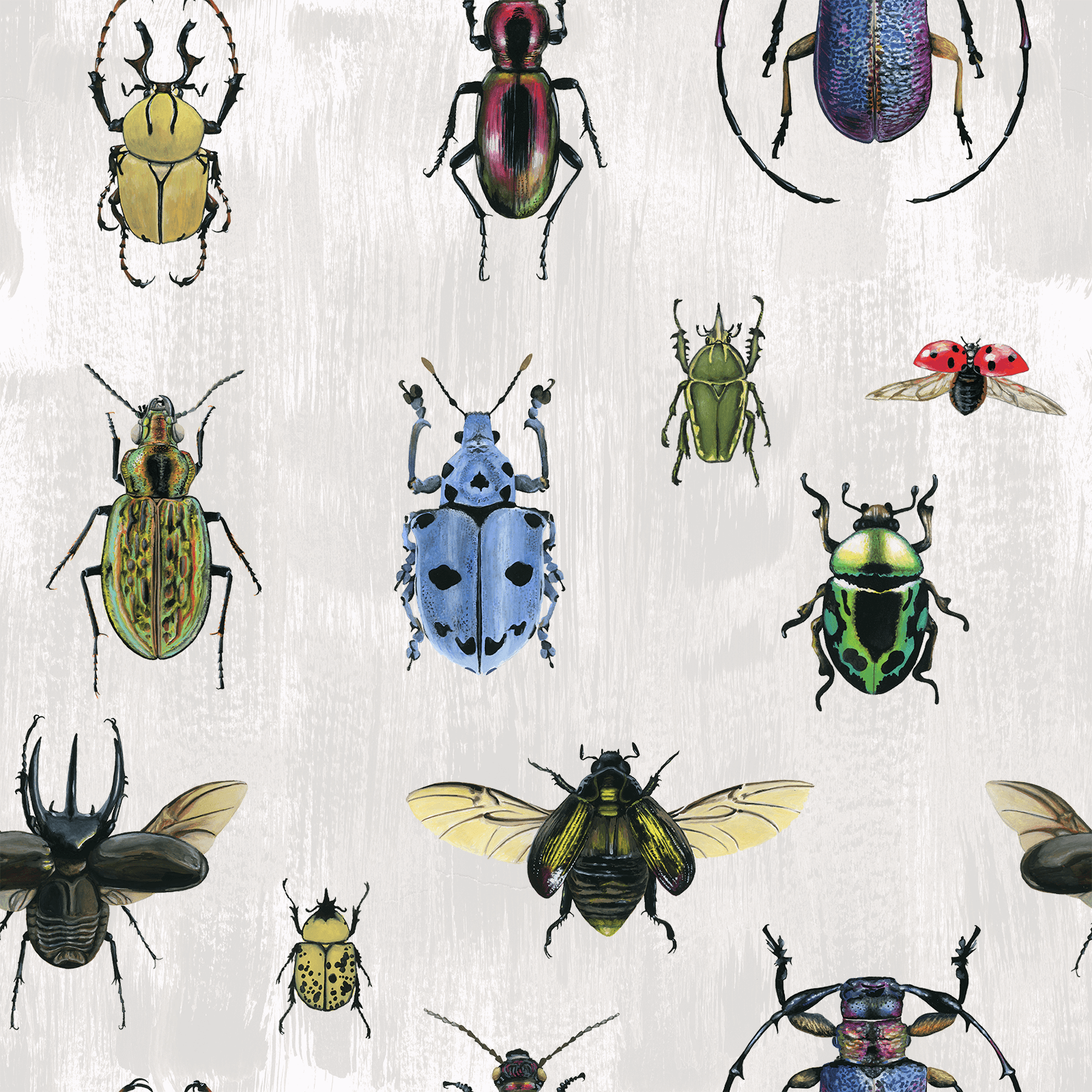 Bug Wallpapers