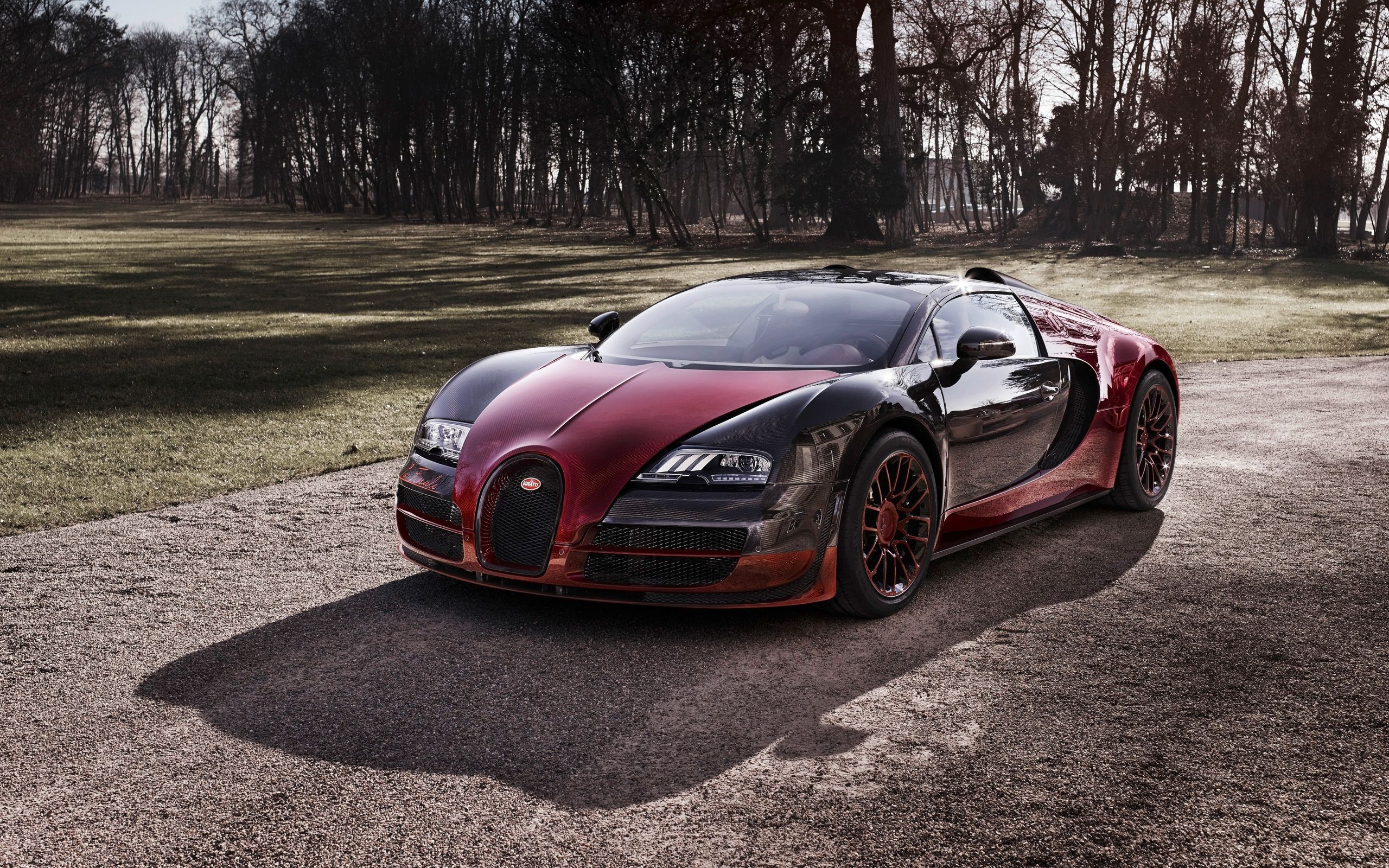 Bugatti Veyron 16-4 Super Sport Wallpapers