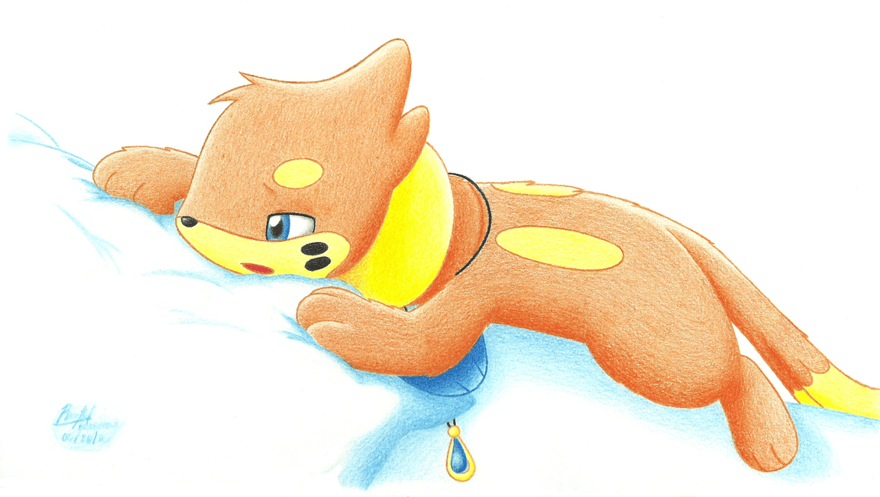 Buizel Hd Wallpapers