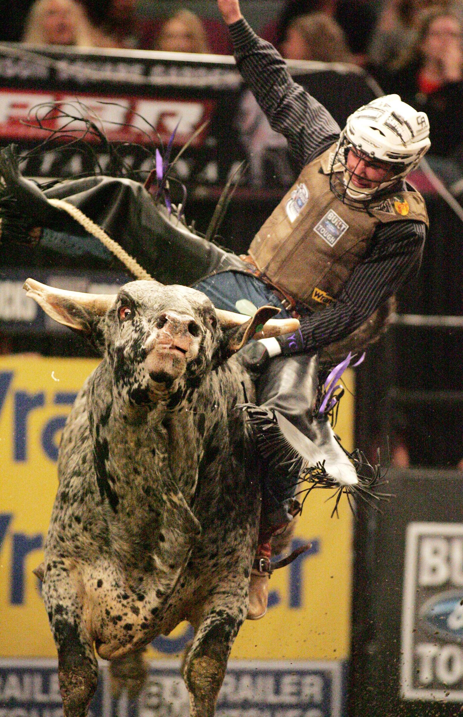 Bull Riding Wallpapers