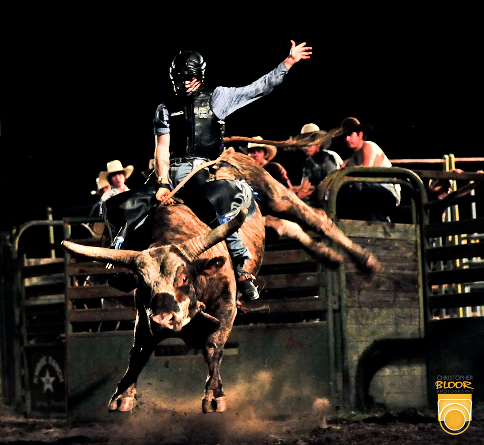 Bull Riding Wallpapers