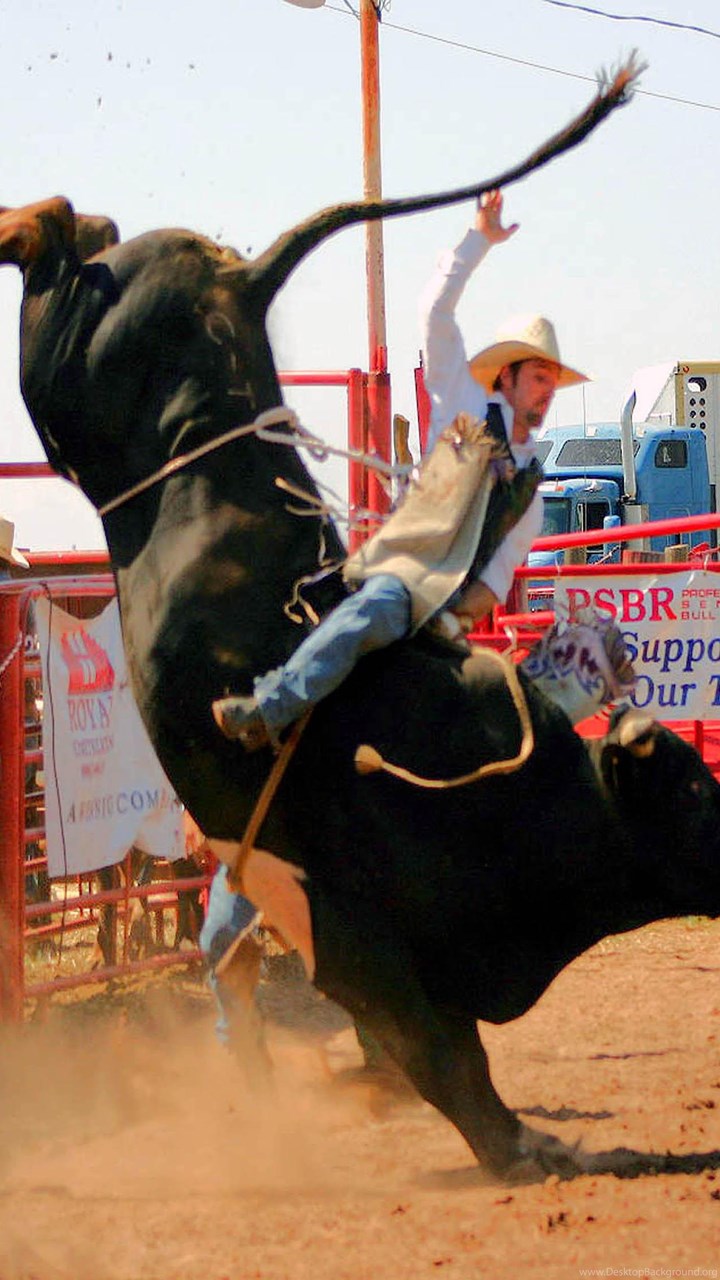 Bull Riding Wallpapers