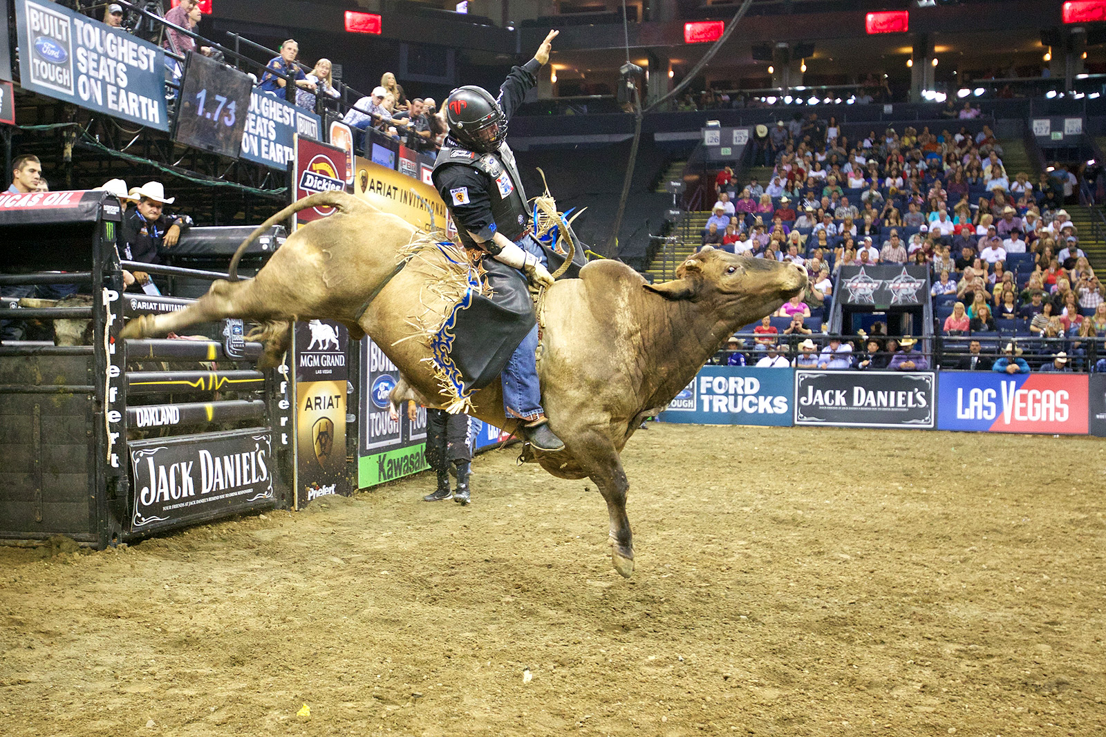 Bull Riding Wallpapers