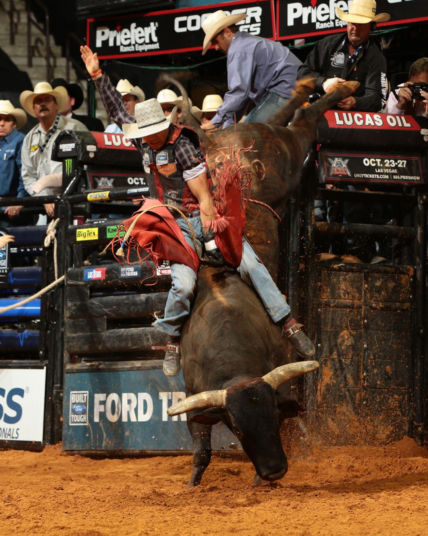 Bull Riding Wallpapers