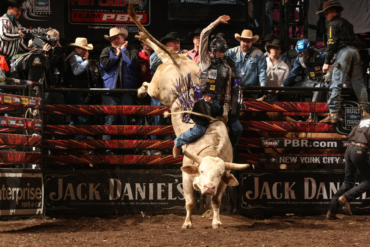 Bull Riding Wallpapers