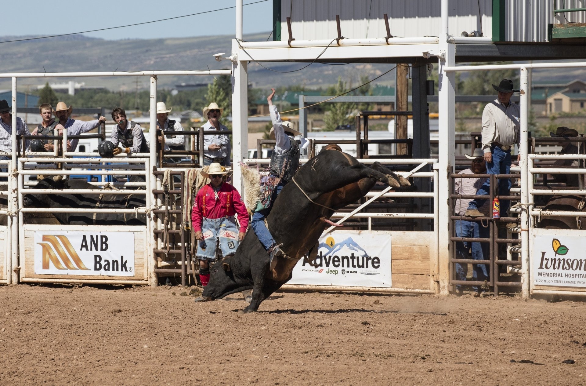 Bull Riding Wallpapers