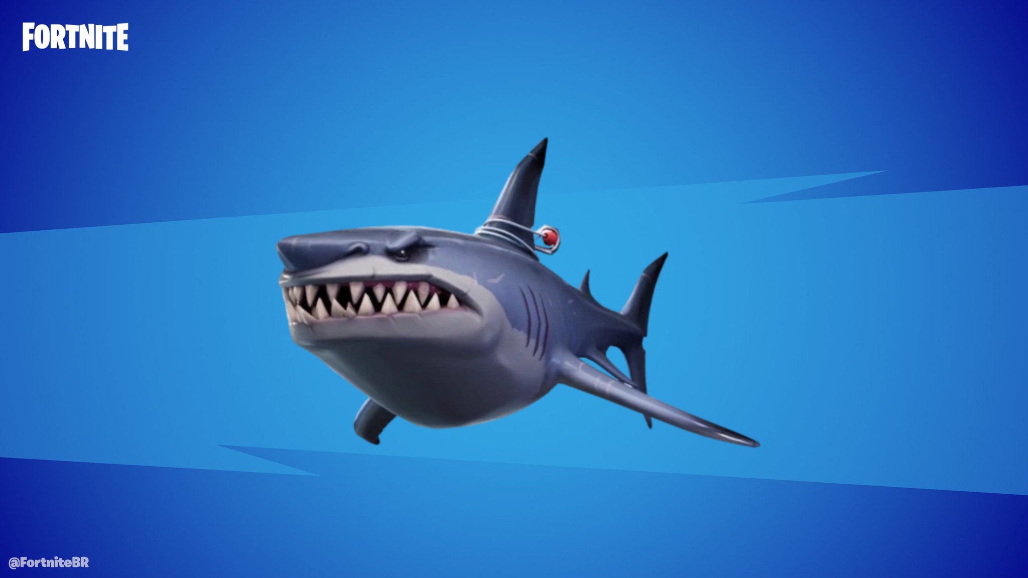 Bull Shark Fortnite Wallpapers