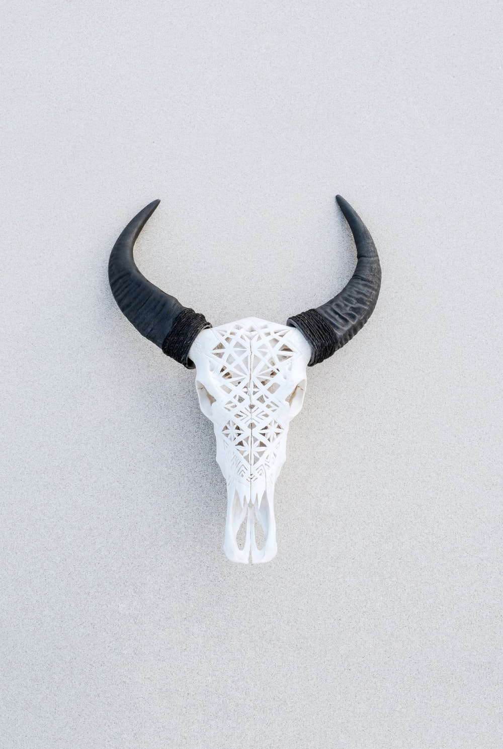 Bull Skull Wallpapers