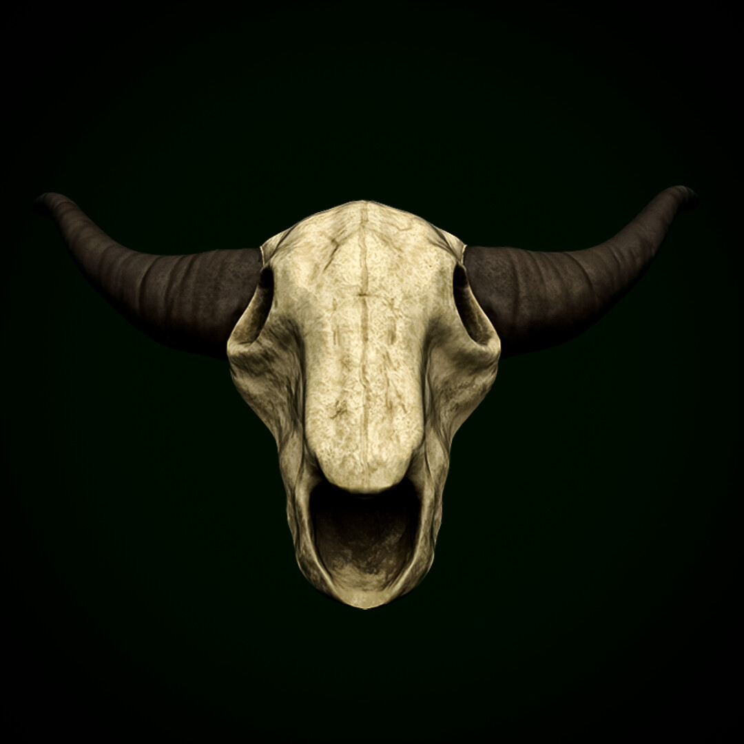 Bull Skull Wallpapers