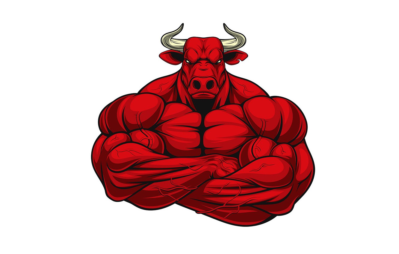 Bull Wallpapers