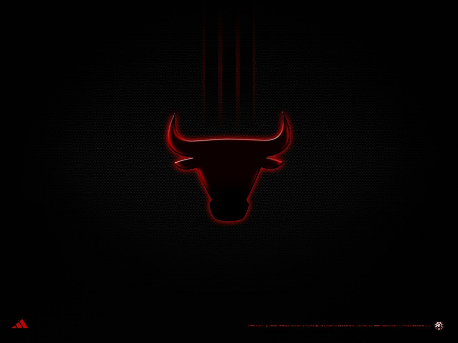 Bull Wallpapers