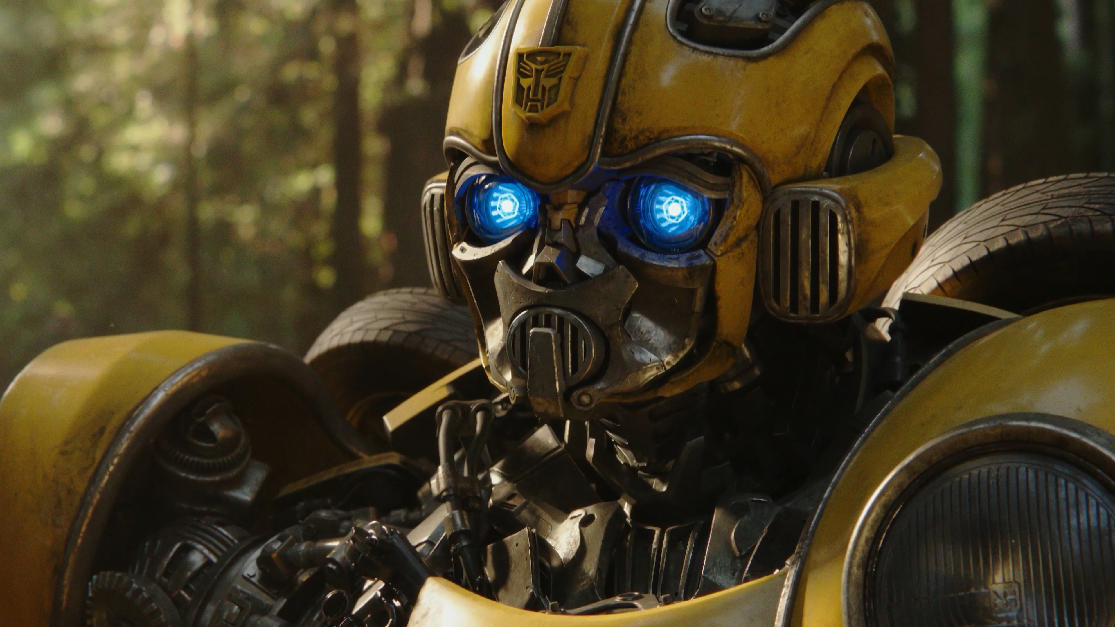 Bumblebee Wallpapers