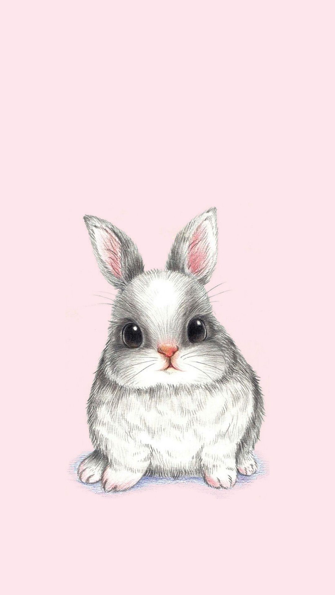 Bunny Backgrounds