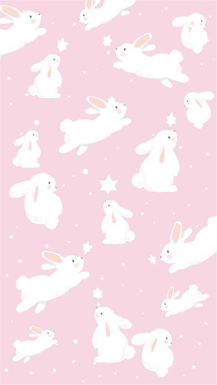 Bunny Phone Wallpapers