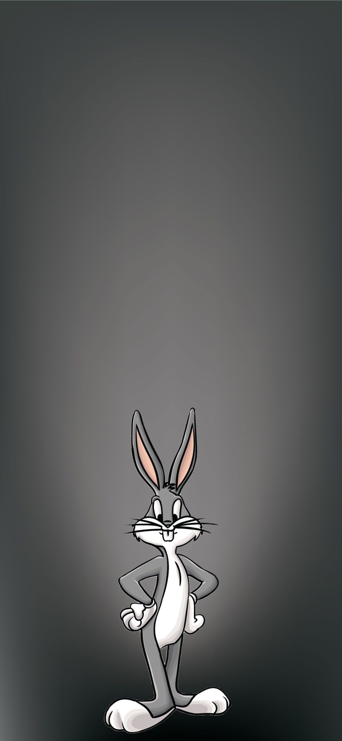 Bunny Phone Wallpapers