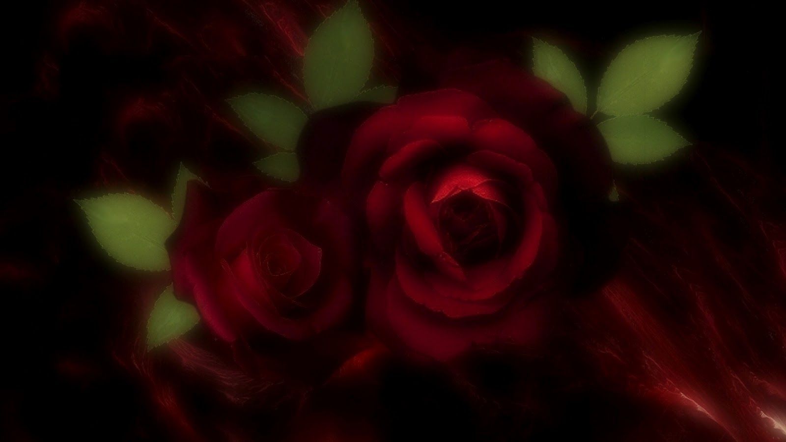 Burgundy Roses Wallpapers