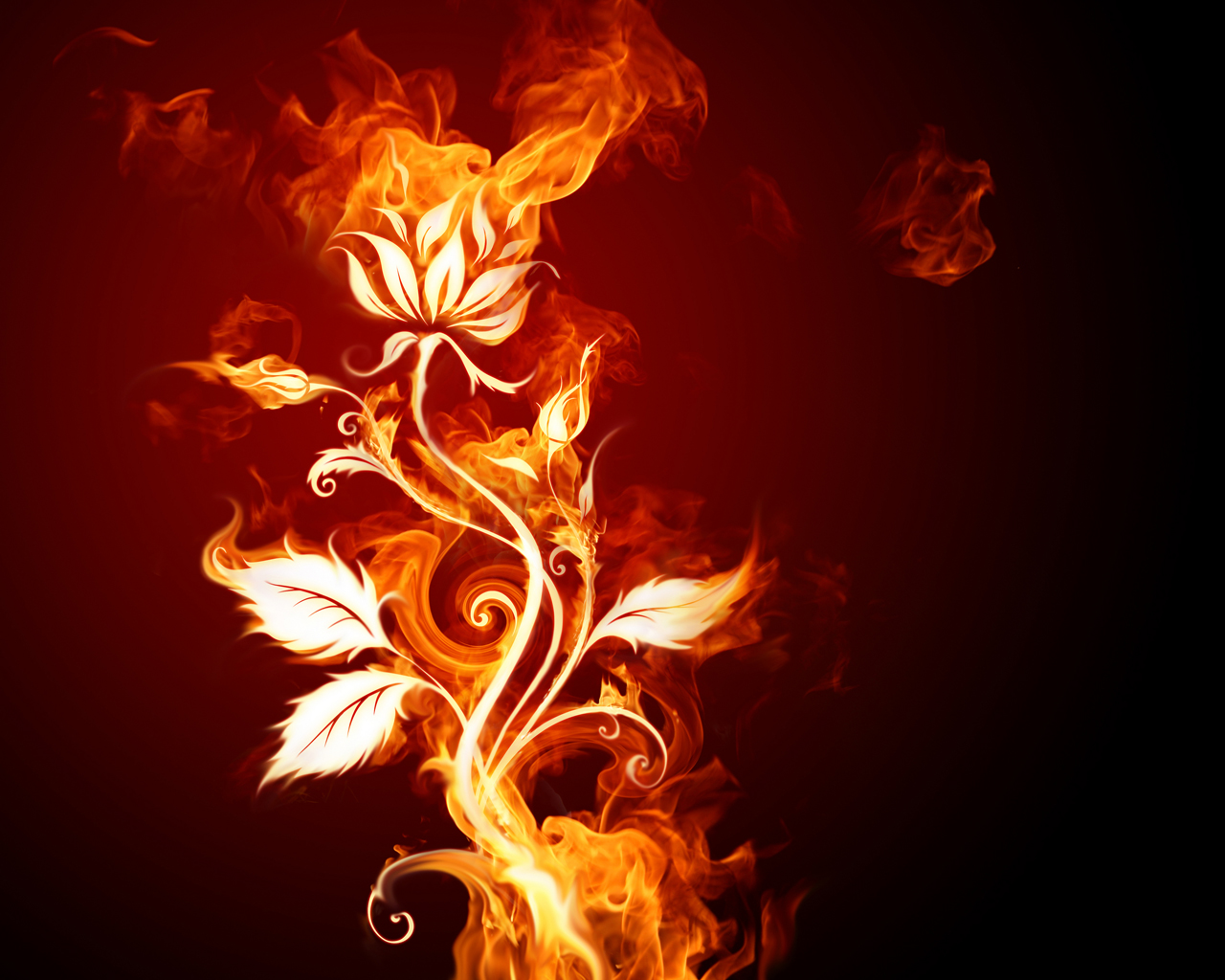 Burning Fire Wallpapers