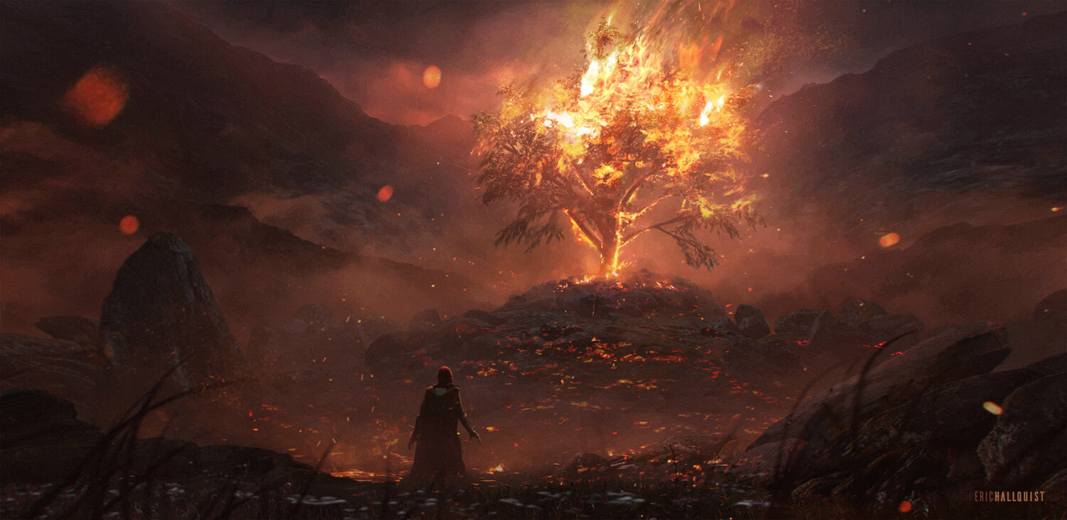 Burning Of Teldrassil Wallpapers