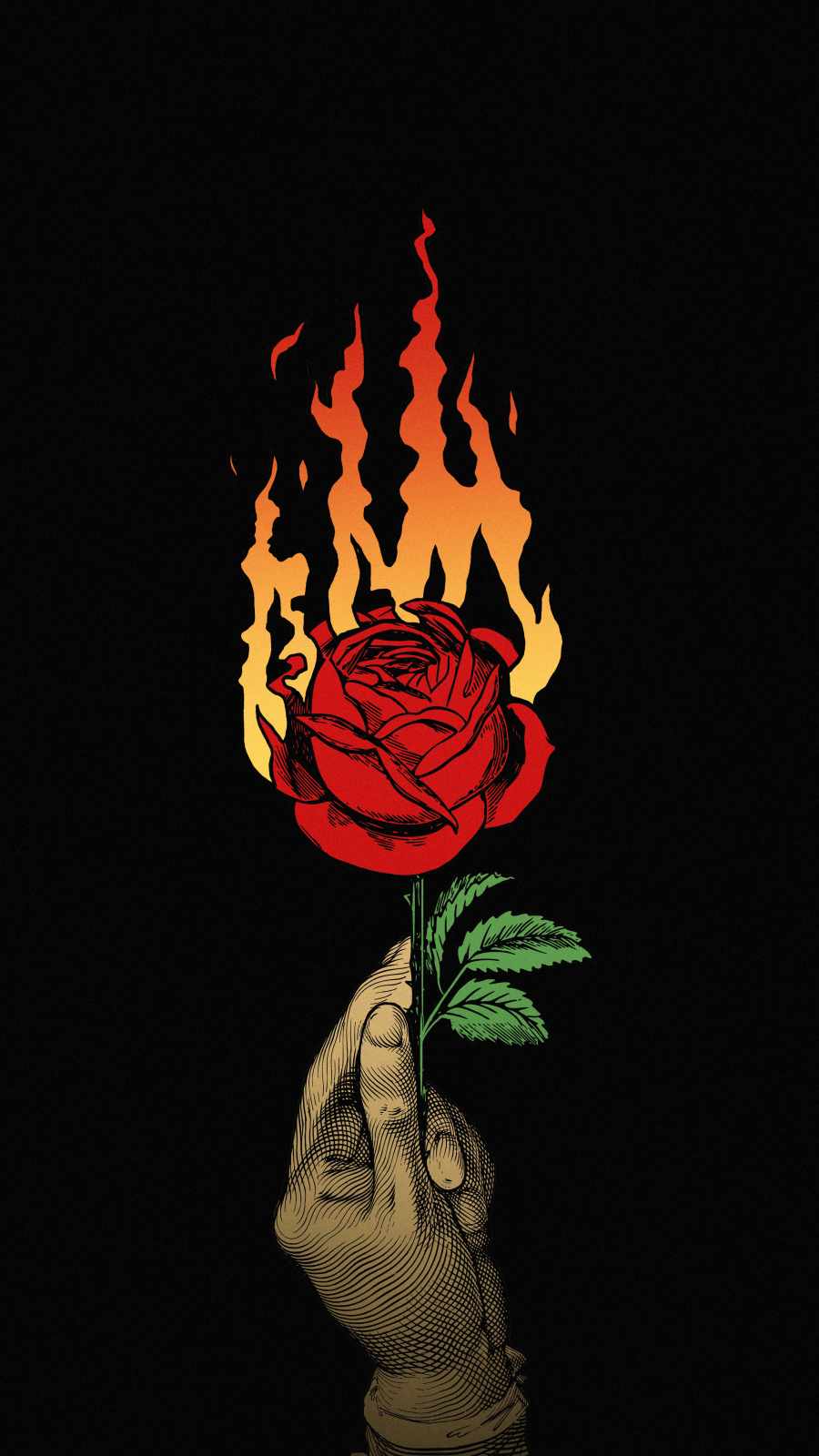 Burning Rose Wallpapers