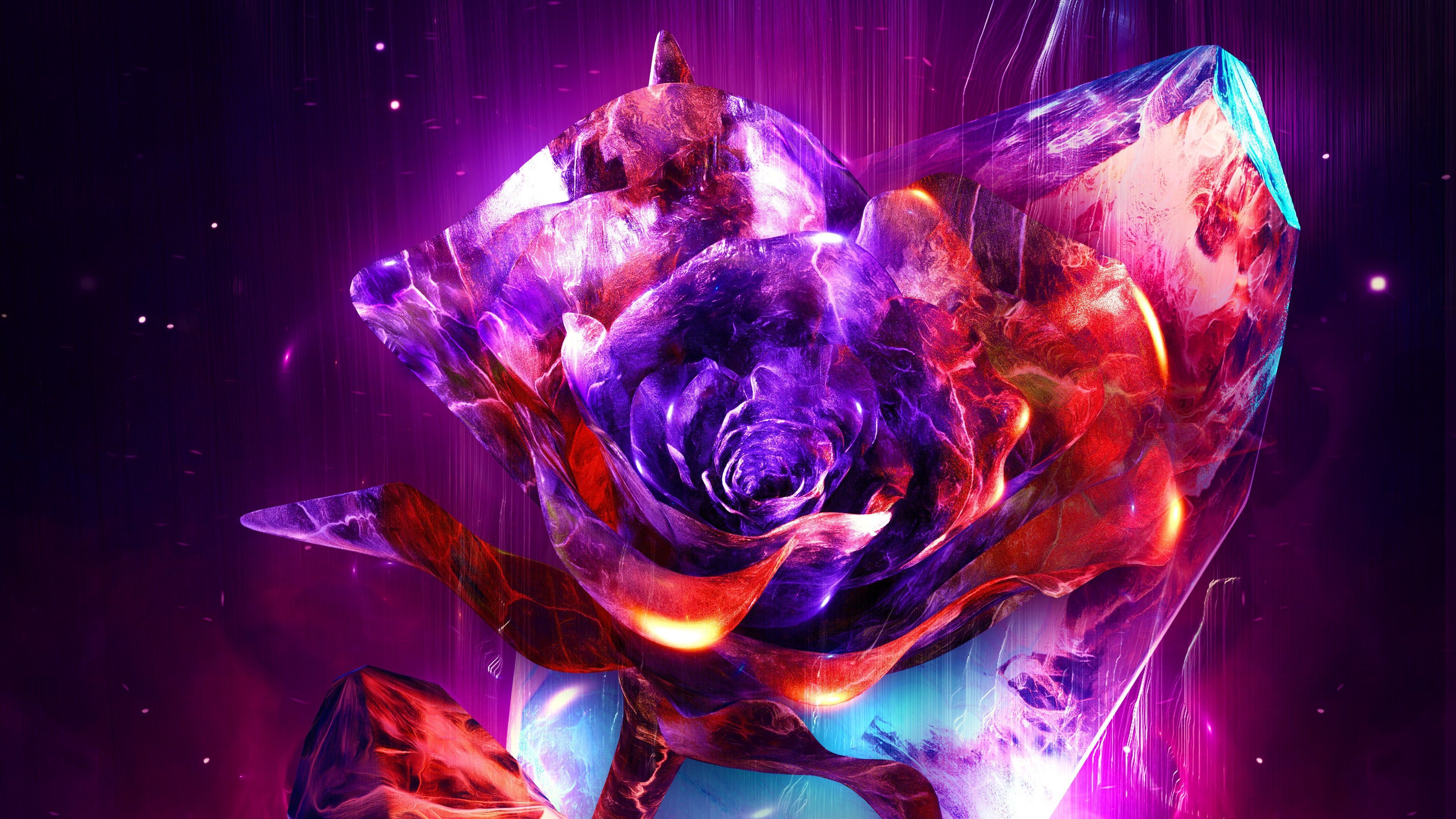 Burning Rose Wallpapers