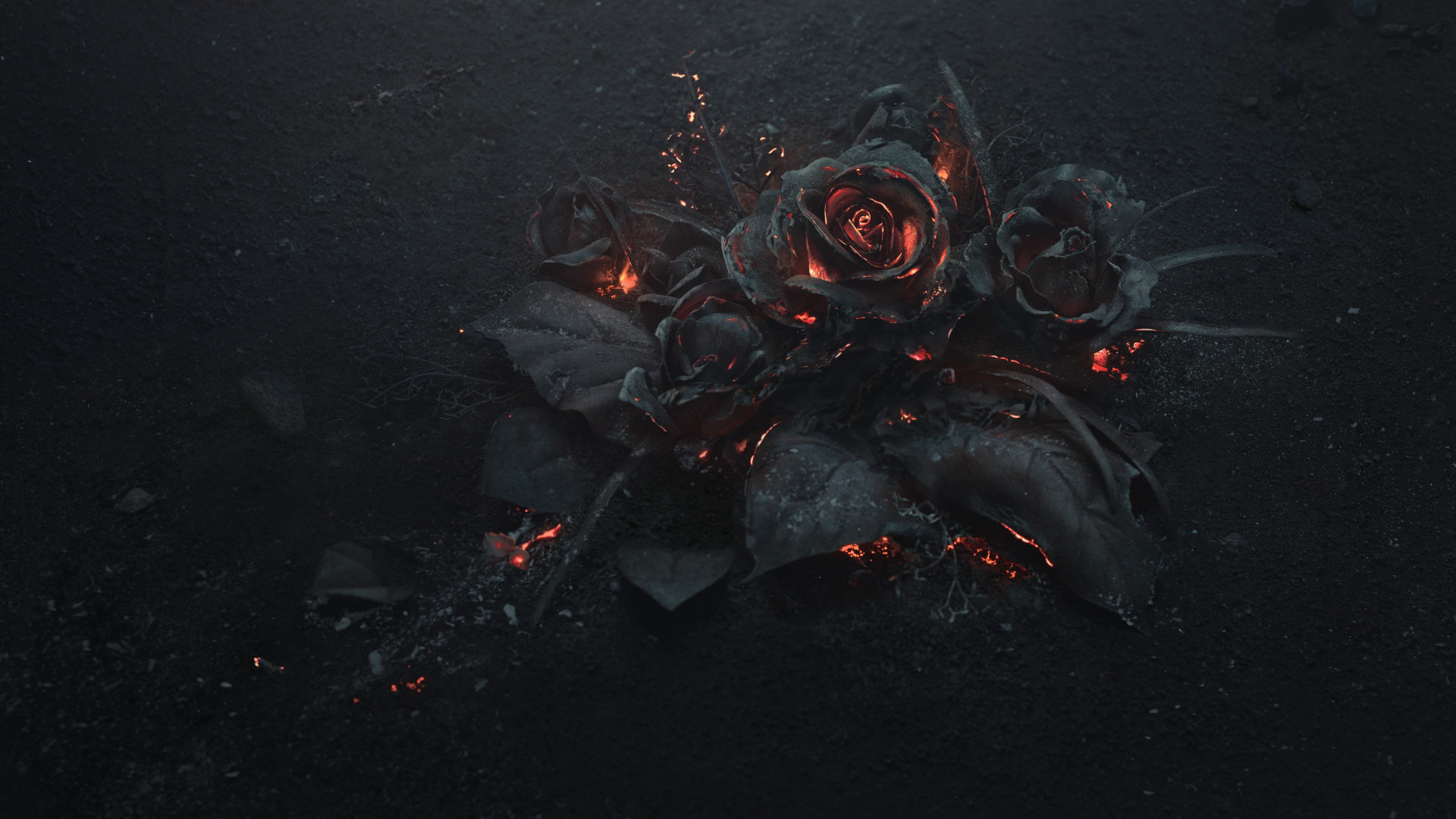 Burning Rose Wallpapers